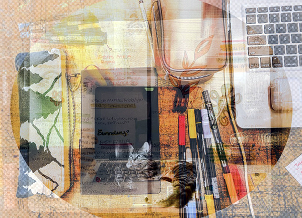 Colorful collage of desktop items and a cat
