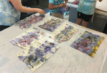 Natural dye student workshop