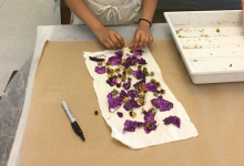 Close-up a student’s natural dye project, shown with flower petals on fabric and a marker to the side.